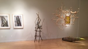 AnimalArchitects_640