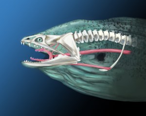 Illustration by Adam Labuen